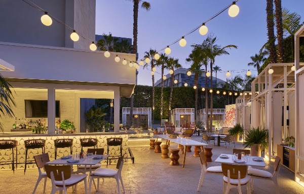 Sugar Palm Santa Monica