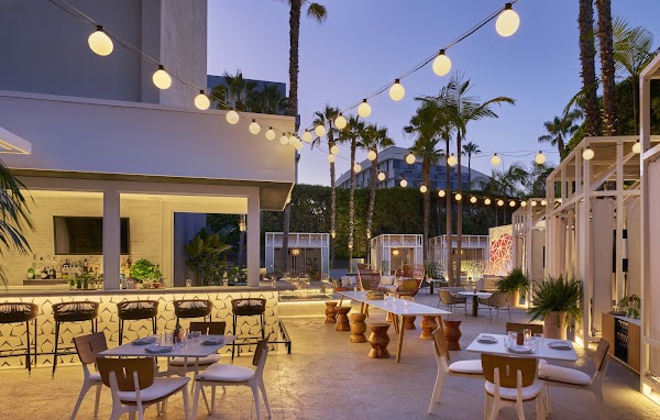 Sugar Palm Santa Monica