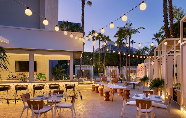 Sugar Palm Santa Monica