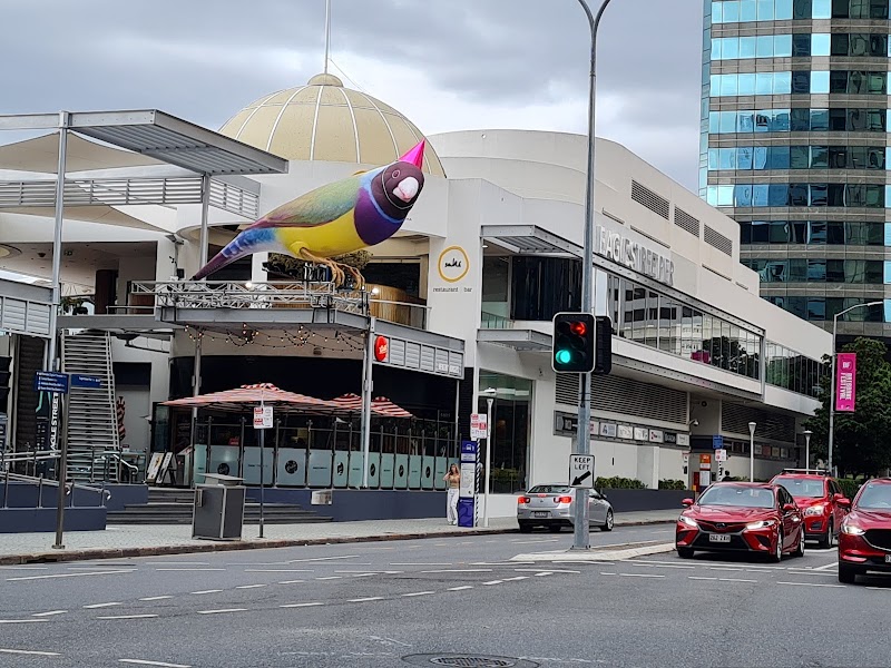 Eagle Street Pier photo 10