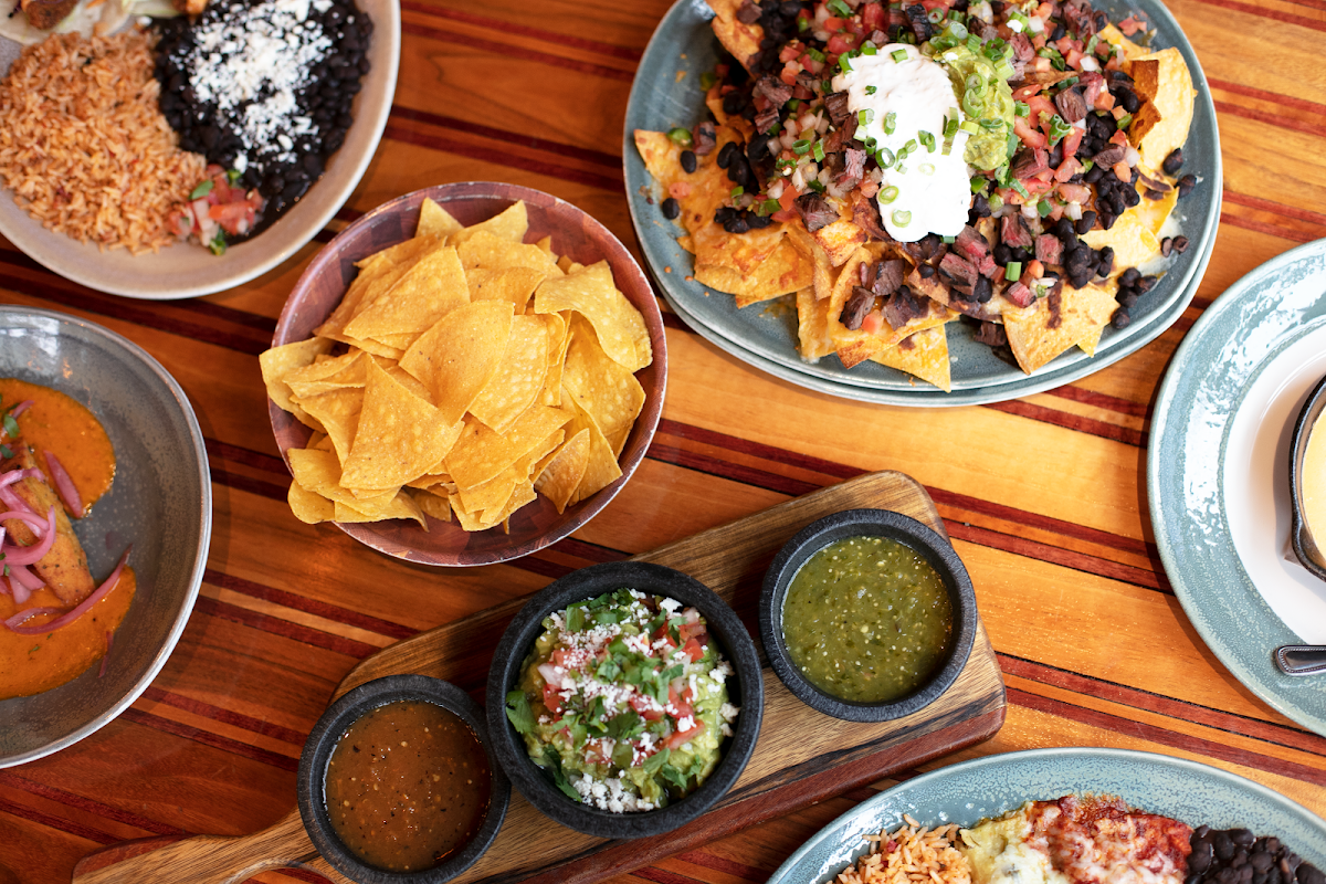 Matador Charleston photo 3