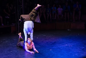 Phare, The Cambodian Circus