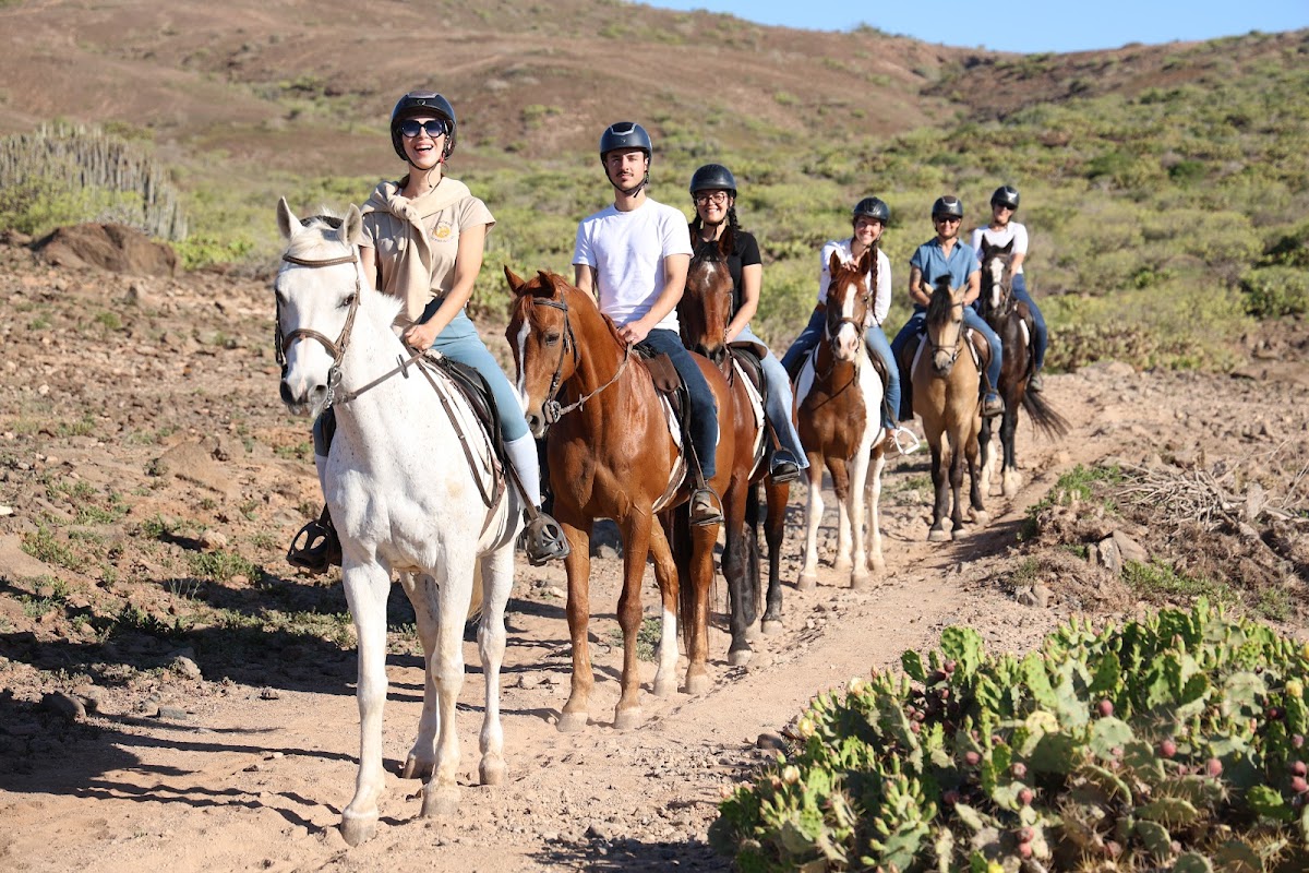 Horseback Riding in La Orotava