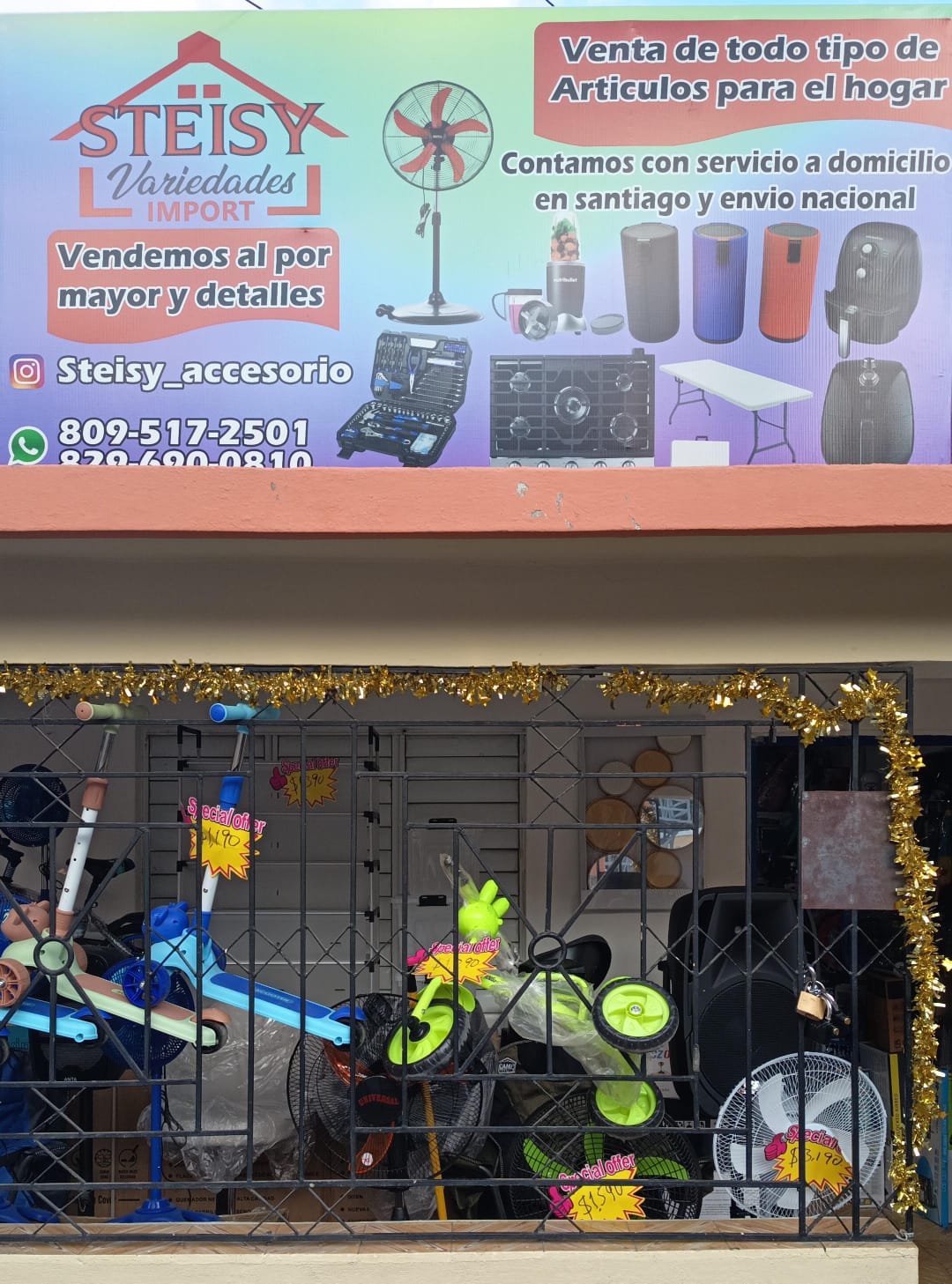 Steisy variedades import - Imagen 1
