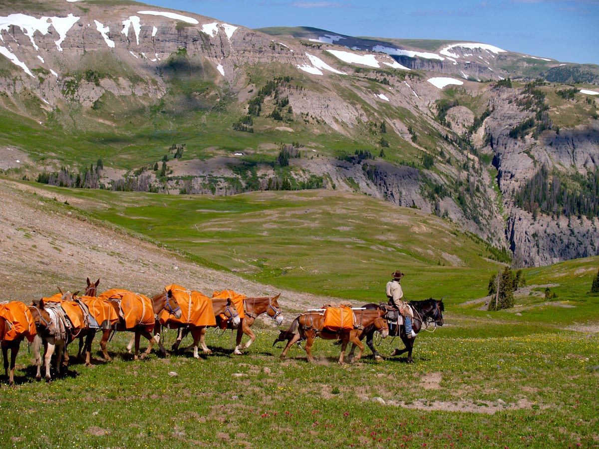 Yellowstone Outfitters