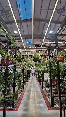 واحة العملاق