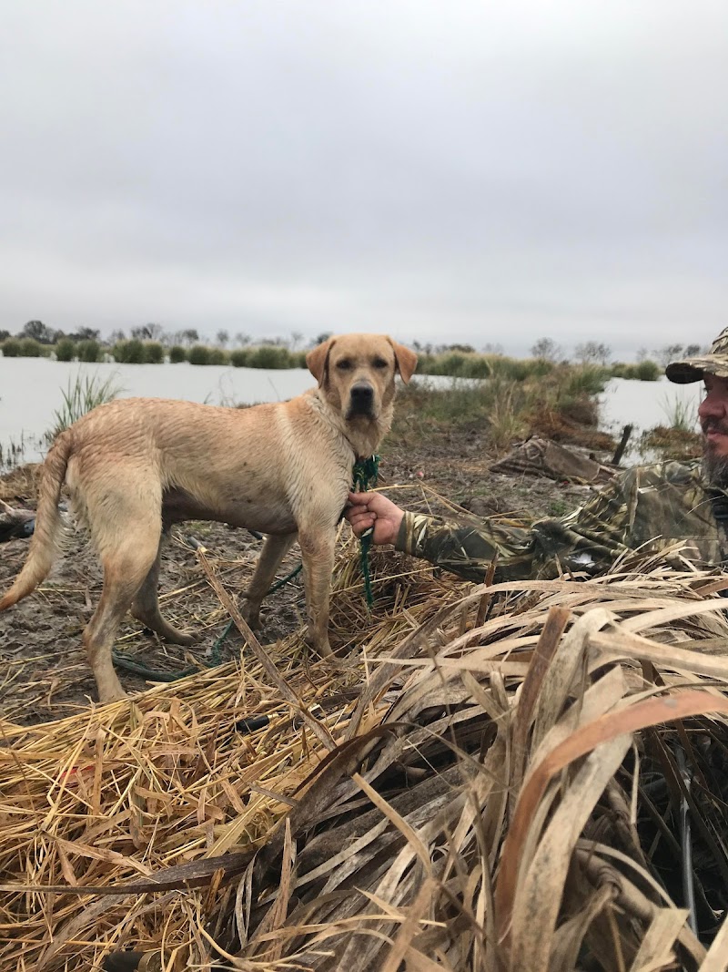 Cajun Wildlife Adventures - Photo 3