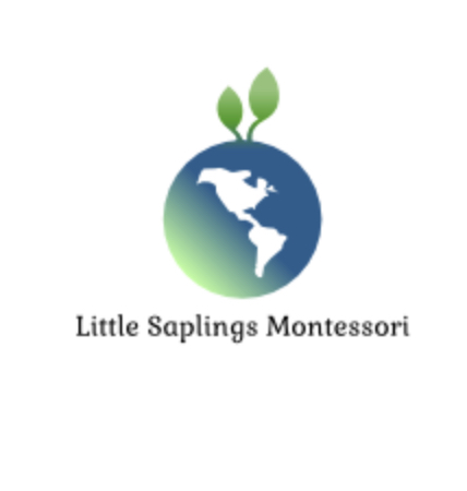 Little Saplings Montessori Preschool photo 2