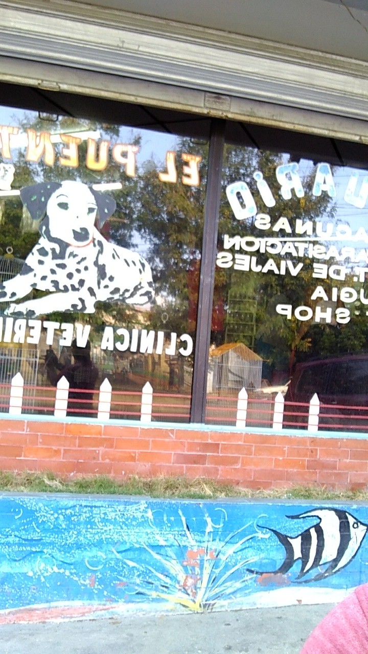 Veterinaria El Puente - Imagen 3