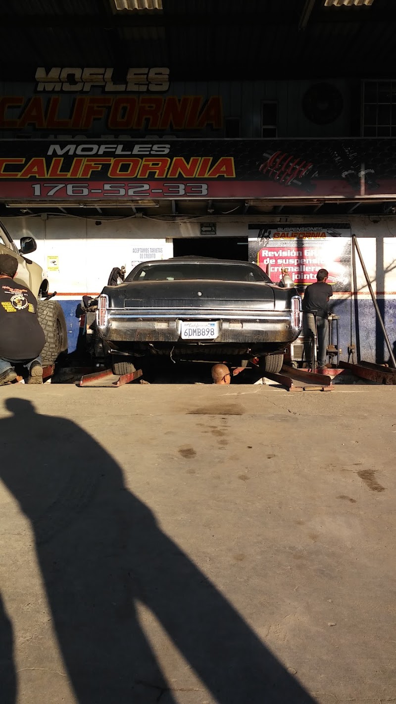 Mofles California - 5