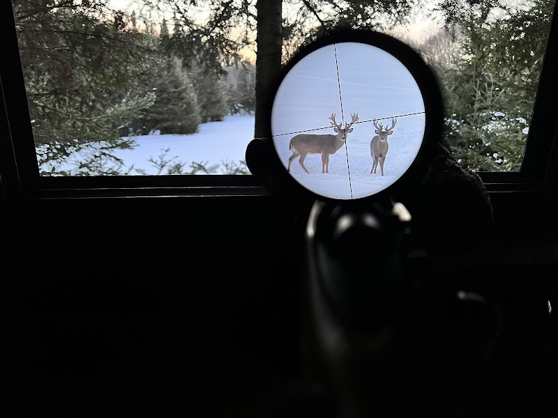 Wild Rivers Whitetails Hunting - Photo 4