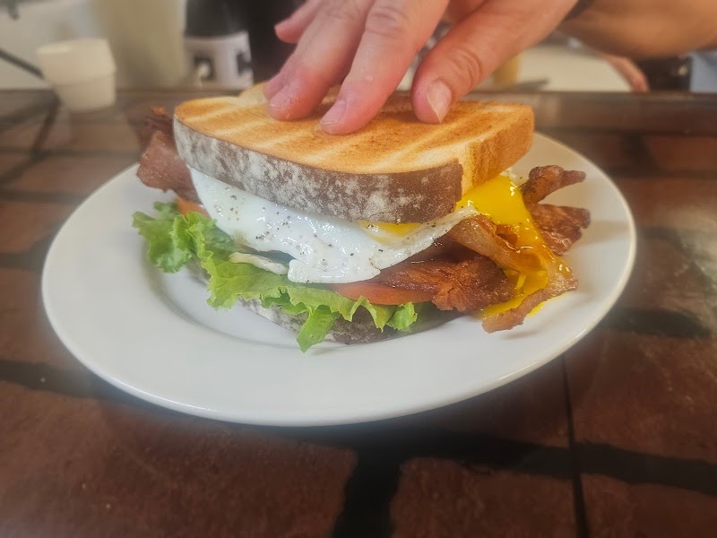 Morning Star Cafe photo 2