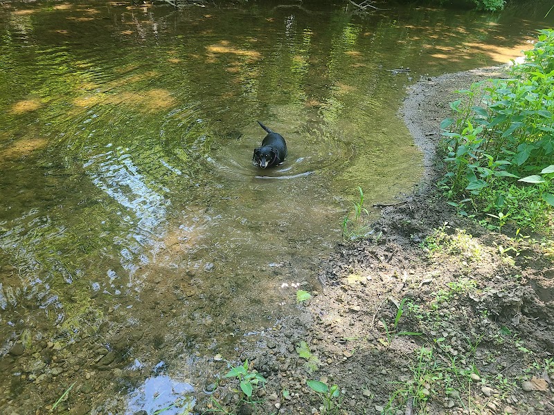Caesar Ford Park - Championship Disc Golf Course photo 2