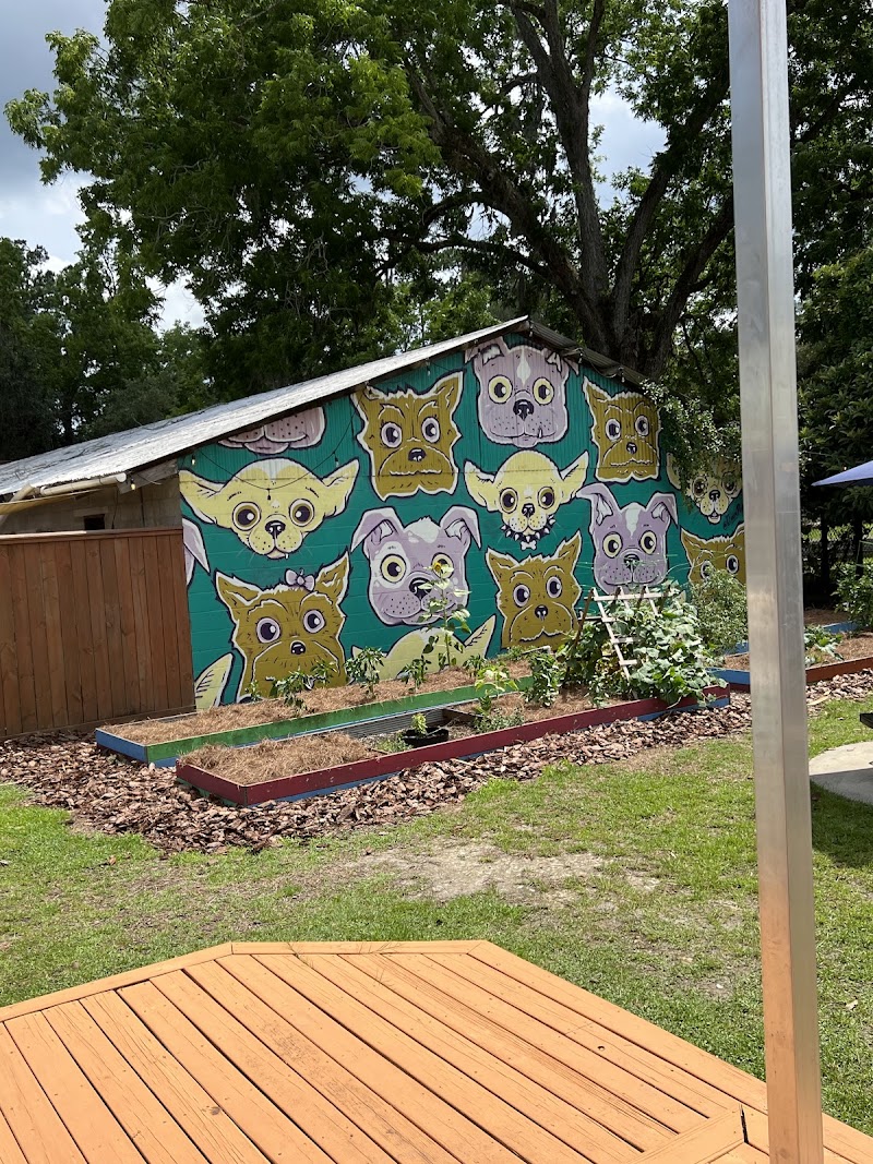 Curia On The Drag photo 3