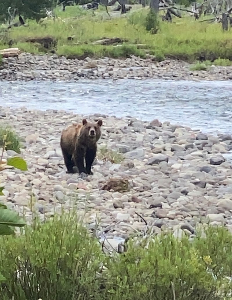307 Outfitters - Photo 1