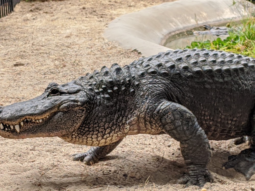 customer photo 1 of Oakland Zoo