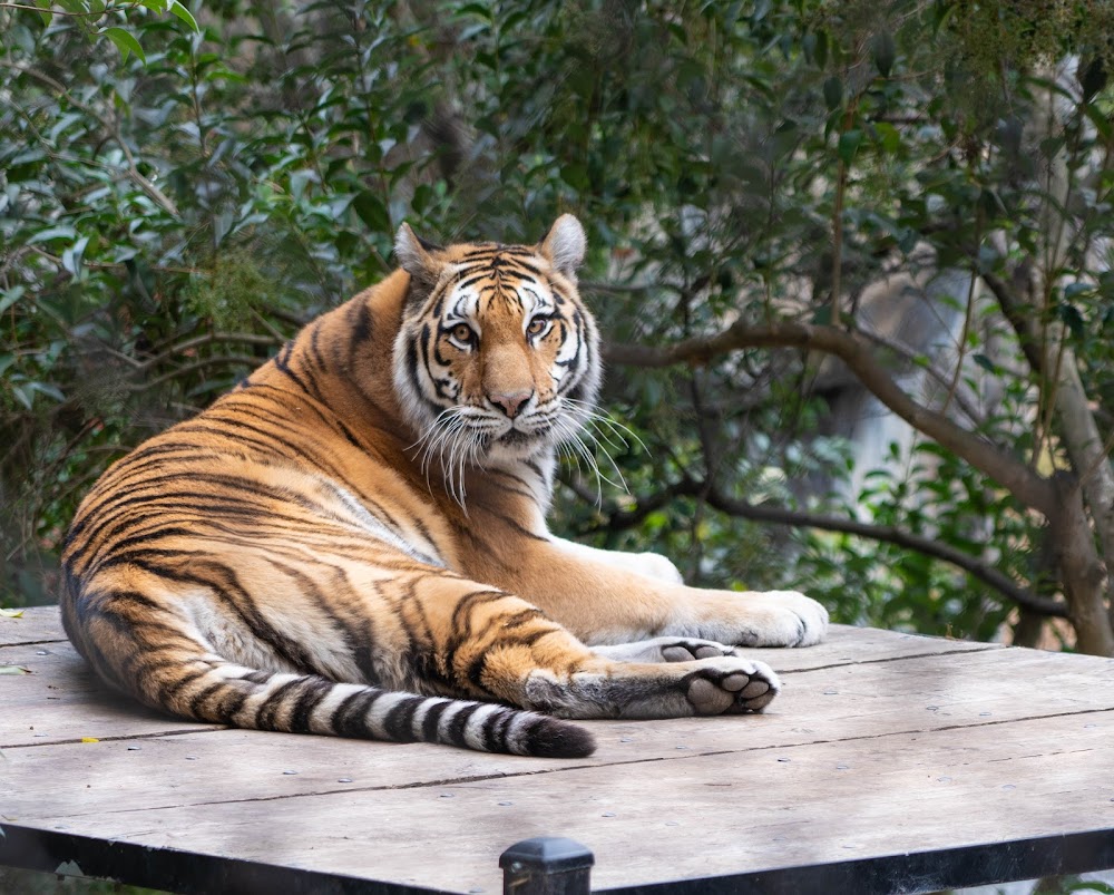 customer photo 2 of Oakland Zoo