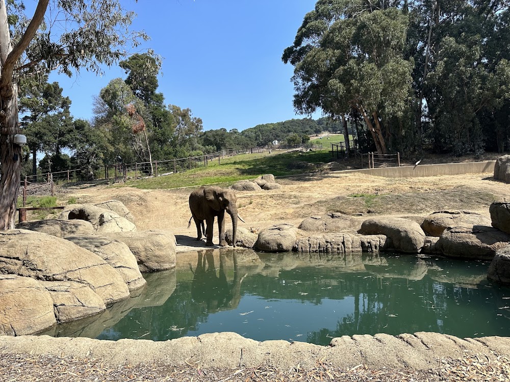 customer photo 3 of Oakland Zoo