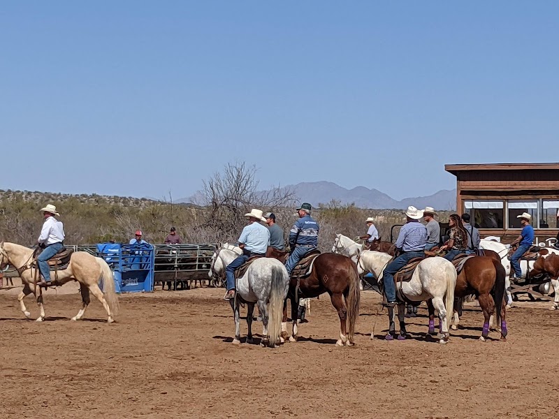 Flying E Ranch - Photo 3