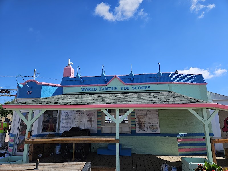 YDB Scoops photo 3