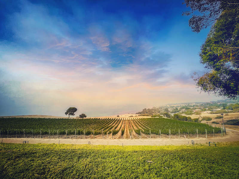 Catalina View Gardens