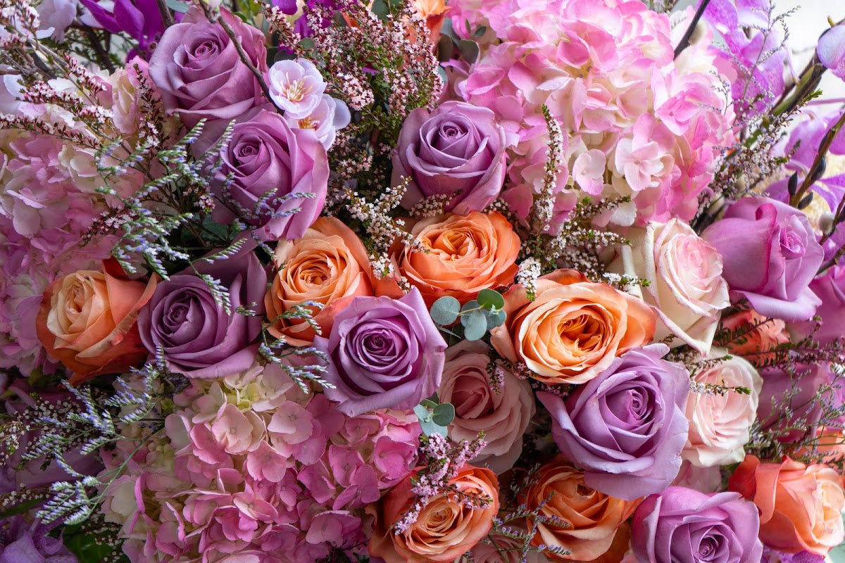 Century City Flower Market: Google Places image 5