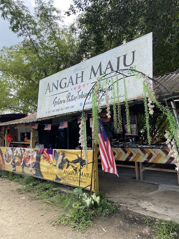 Angah Maju Selera Patin Tebing Sungai - Photo 1