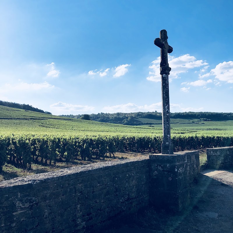 Domaine Romanée Conti