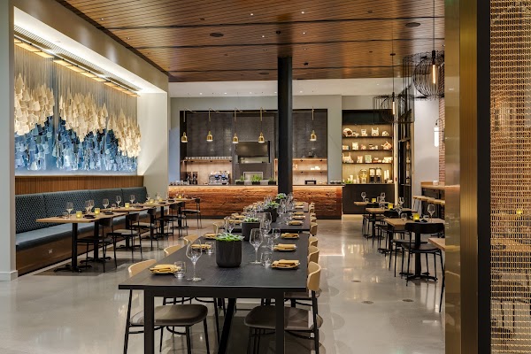 Salt Yard Cafe & Bar