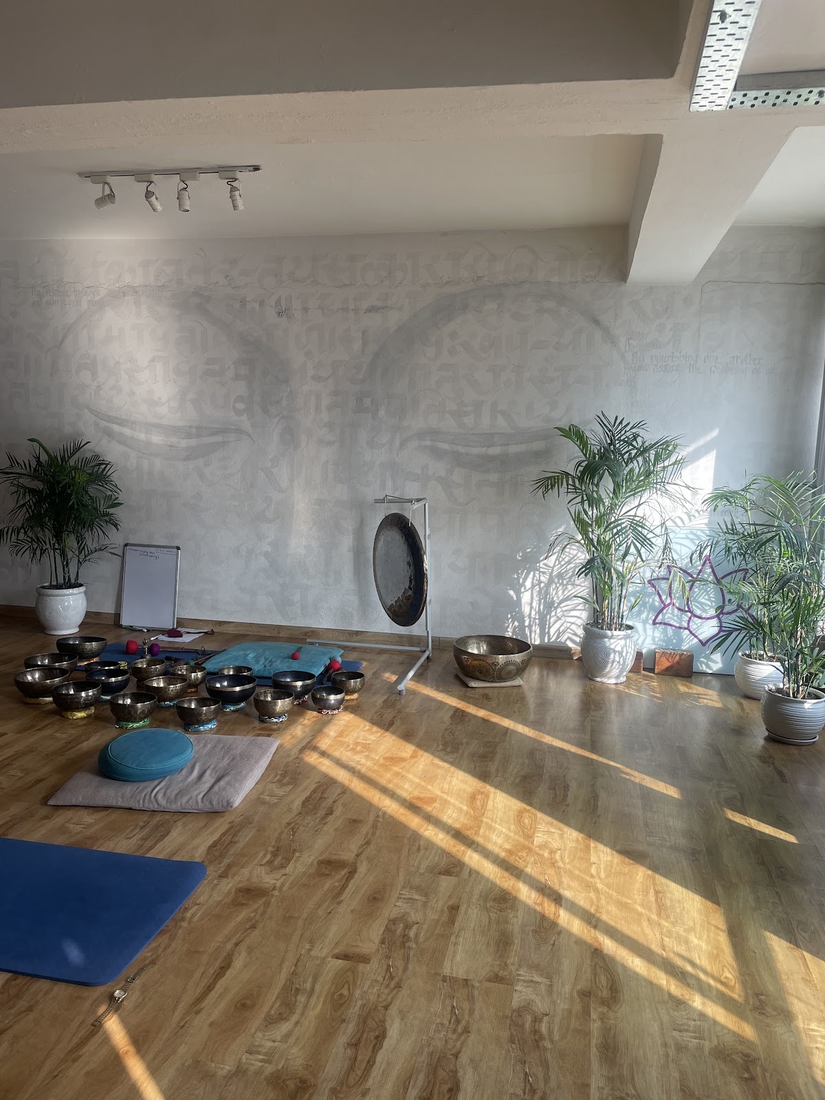 Pranamaya Yoga Studio — 4
