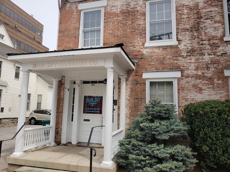 Video tour of Blue Sky Cannabis Co. - Ann Arbor -- NOW OPEN!! retail environment