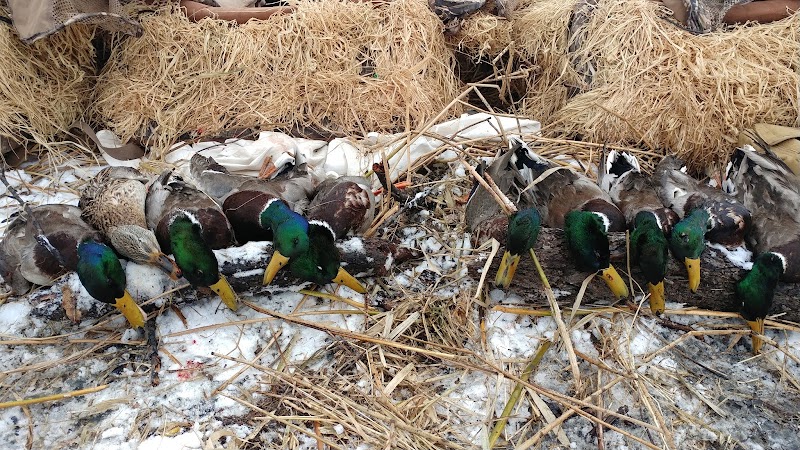 High Prairie Lodge and Outfitters - Photo 6