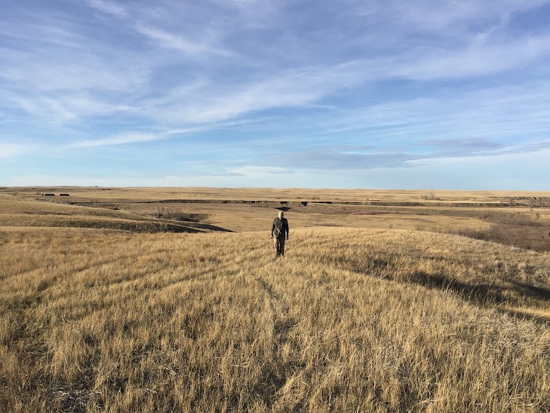 High Prairie Lodge and Outfitters - Photo 5