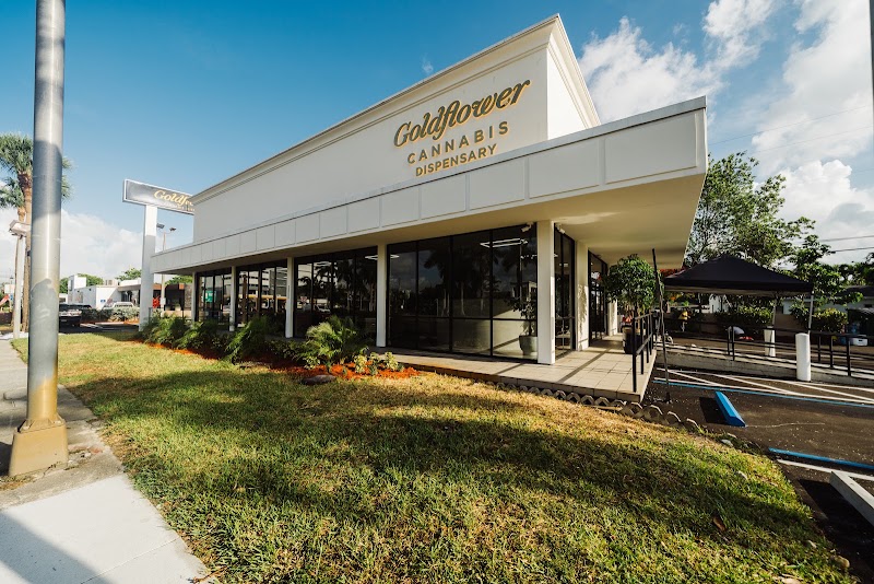 Video tour of Goldflower Cannabis Dispensary Miami retail environment
