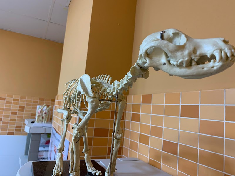 Centro Veterinario A Marosa