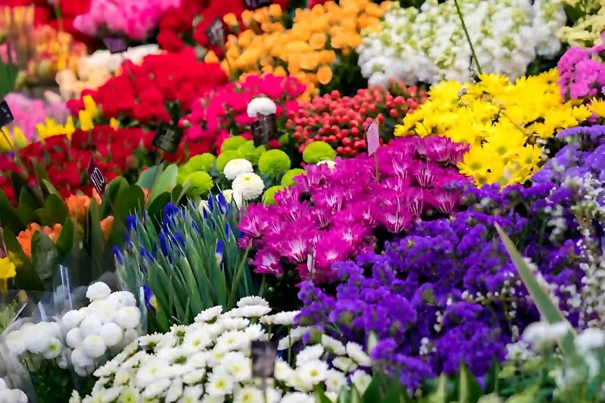 Southern California Flowers-Events & Gifts: Google Places image 2