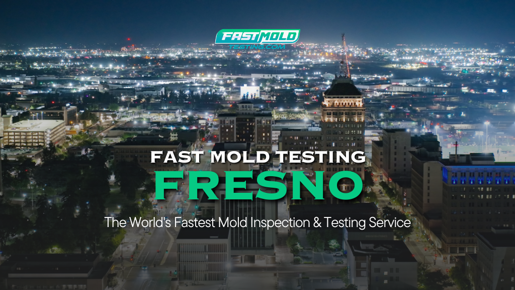 Fast Mold Testing - Fresno — photo