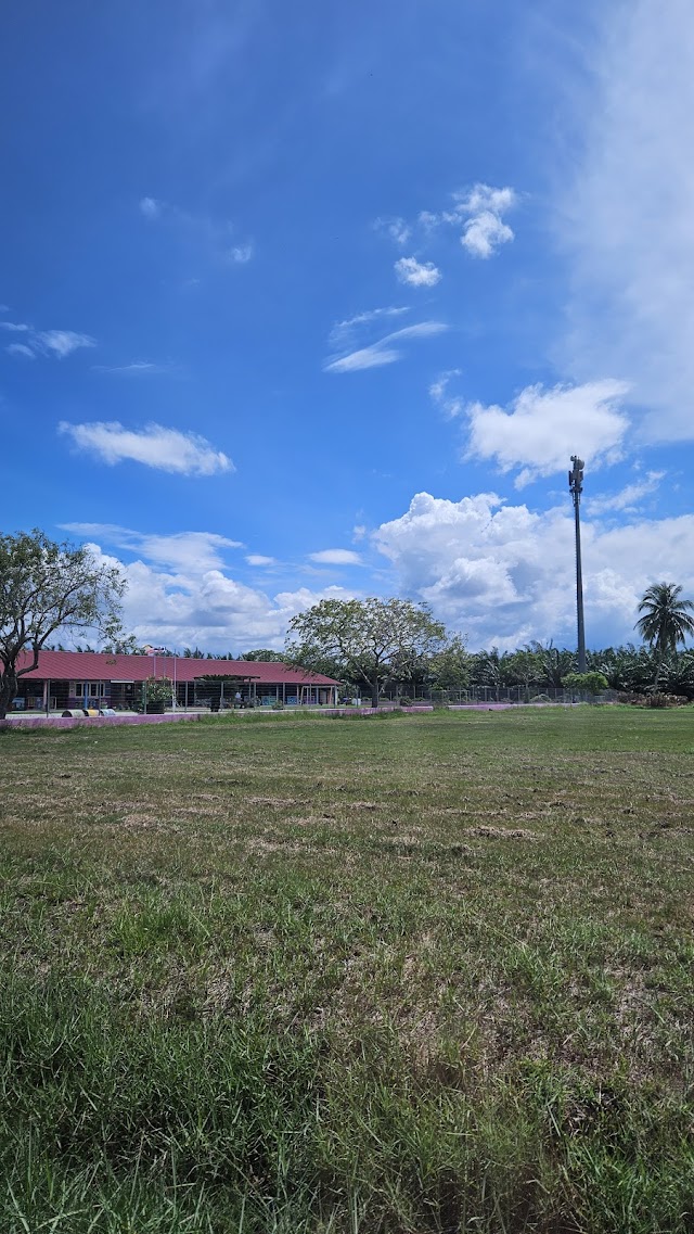 SJK(T) LADANG CHERSONESE photo 3