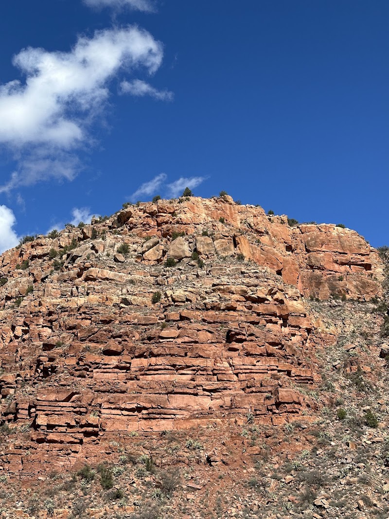 Copper Spike Cafe photo 3