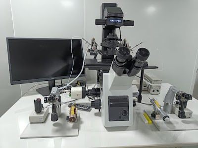 Dr Shraddha Agarwal IVF and Laparoscopic Gynaecologist - Image 2