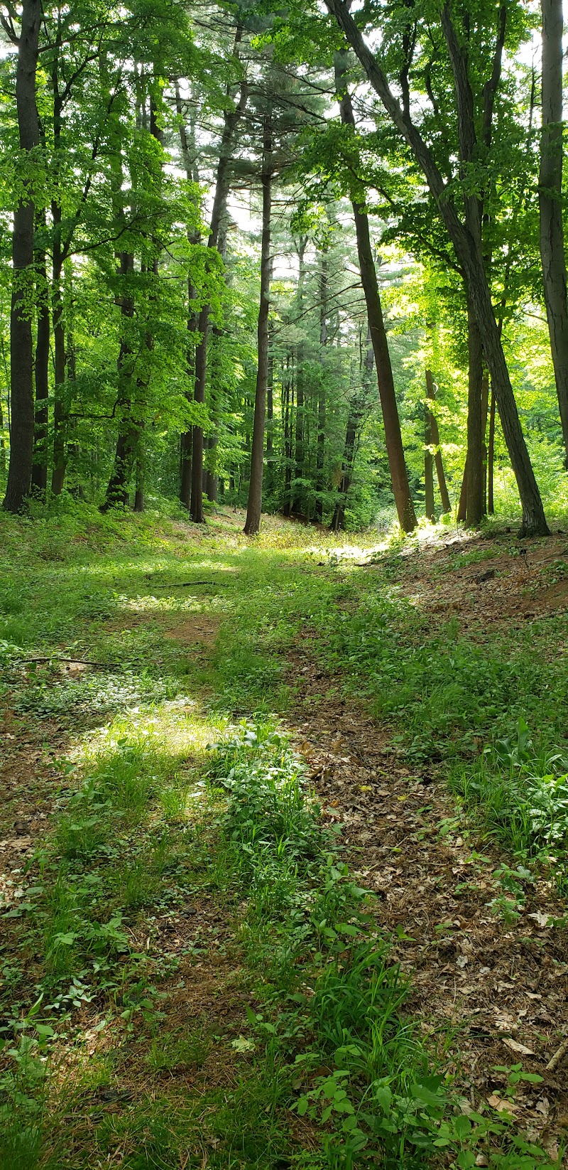 Keney Park Disc Golf Course photo 5