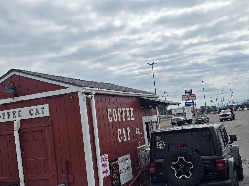 Coffee Cat photo 4
