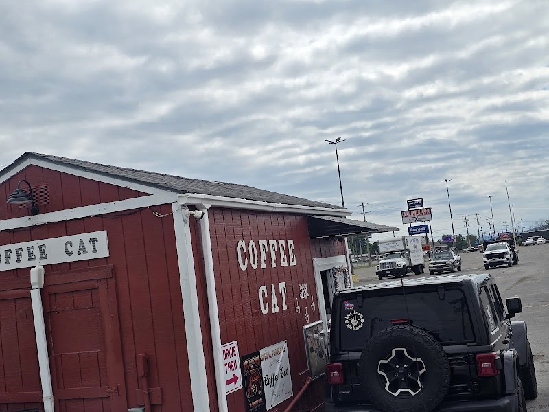 Coffee Cat photo 4