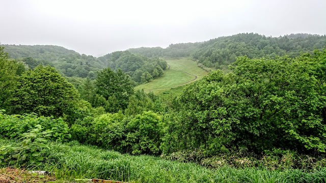 Grand Sapporo Country Club - Photo 9