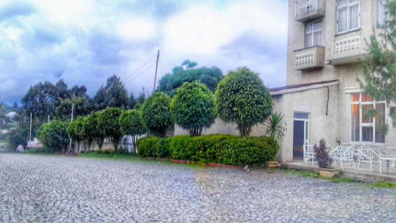 Kino Hotel photo 4