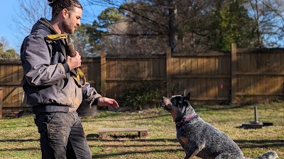 Wild Heart Dog Training