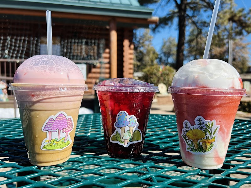 The Shroom Room photo 2