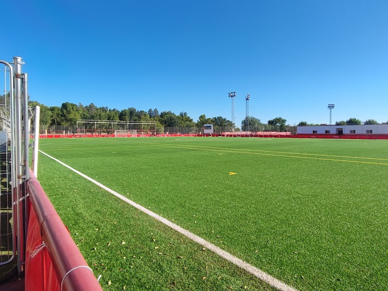 Polideportivo Ernesto Cotorruelo