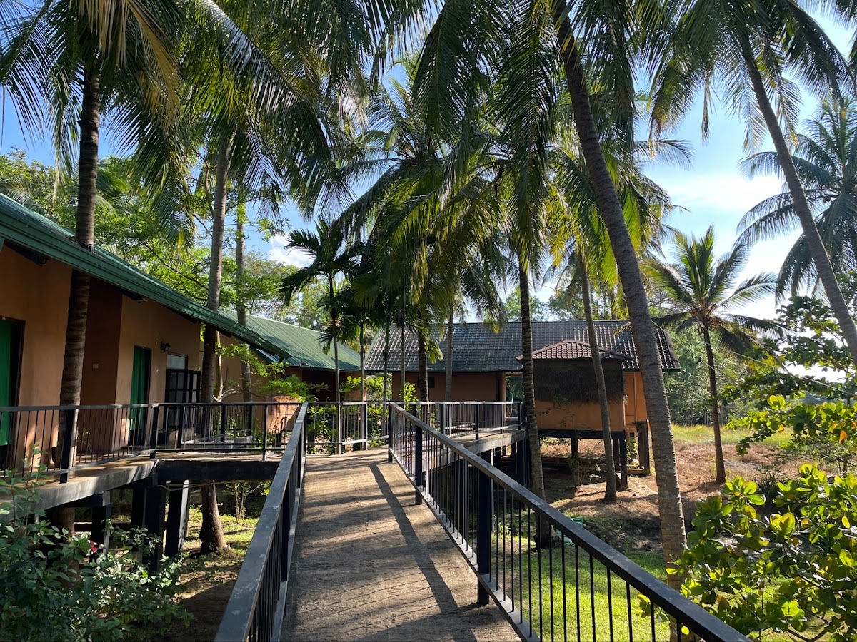 Ayurveda Isiwara Paura Sigiriya - Healthy side of your life — 3