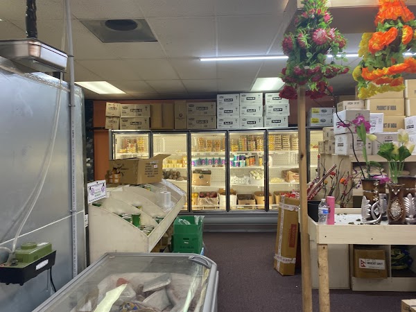 Photo by Ahmed Salama